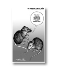 Preocupación