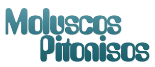 Moluscos Pitonisos